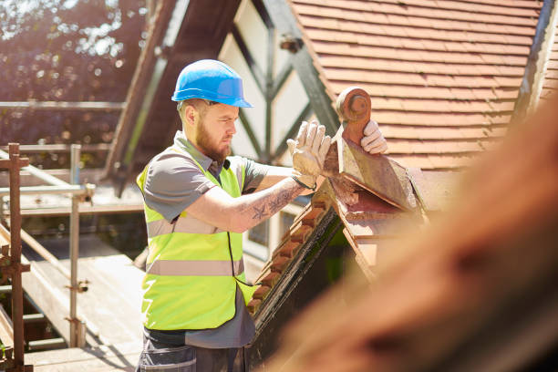 Best Roof Leak Repair  in De Pue, IL